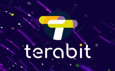 TERABIT, THE DATA HIGHWAY FOR ITALIAN RESEARCH