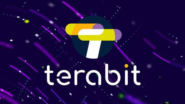 TERABIT, THE DATA HIGHWAY FOR ITALIAN RESEARCH