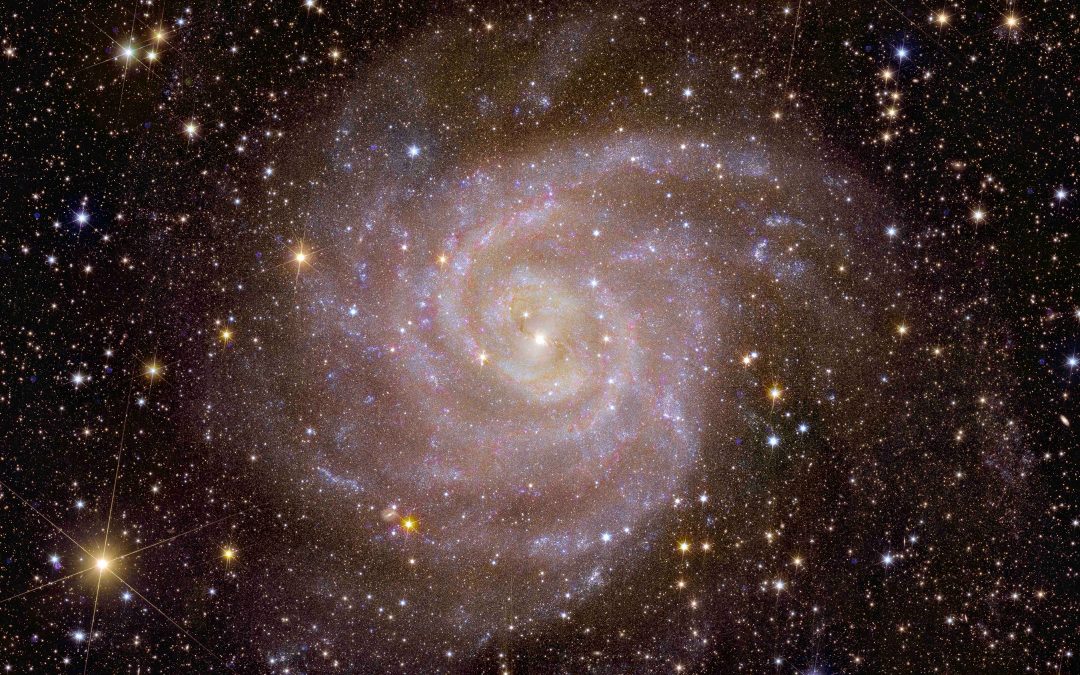 Euclid's view of spiral galaxy IC342