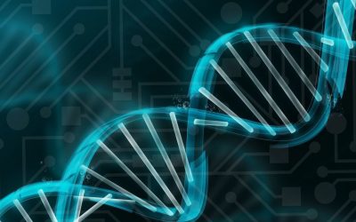 HEALTH HPC: BIOMEDICINA COMPUTAZIONALE