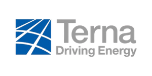 Immagine che rappresenta logo di Terna